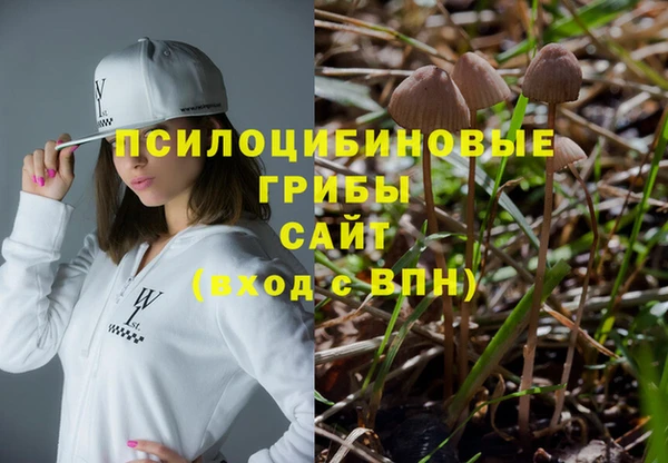 дмт Бугульма