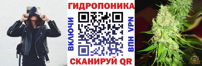 Канабис семена  это клад  Пикалёво 